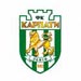 "Карпаты" забили 1500-й гол