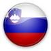 Словения прибыла в Москву.